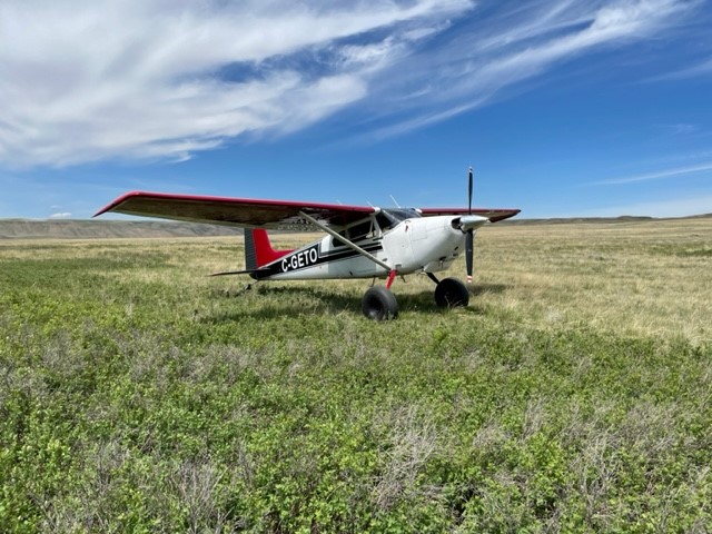 1958 CESSNA 180A